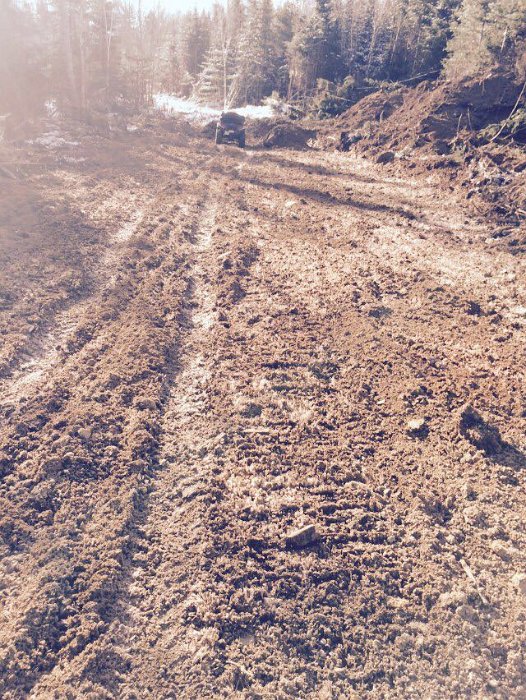 WentworthHalbinselStrasse (5)